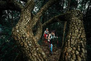 BIB: 
                            <button type="button" onclick="openModal(25699068)" class="btn btn-primary btn-sm float-right btn-popup" data-toggle="modal" data-target=".modal-high-quality">
                        <i class="fas fa-shopping-cart"></i> Add to Cart
                    </button>
                                            <button type="button" onclick="isThisMe(25699068, true)" class="btn btn-success btn-sm float-right btn-popup btn-isme hidden" data-toggle="tooltip" data-placement="bottom" title="นี่คือรูปของคุณใช่ไหม คลิกที่นี่เพื่อเอาเข้าอัลบั้ม">
                        <i class="fas fa-plus"></i> Add to album
                    </button>
                    <button type="button" onclick="isThisMe(25699068, false)" class="btn btn-warning btn-sm float-right btn-popup btn-isnotme hidden">
                        <i class="fas fa-ban"></i> Remove from album
                    </button>